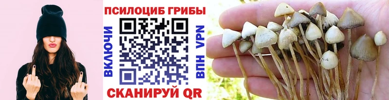 Псилоцибиновые грибы Magic Shrooms Харовск
